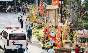 Cận cảnh đường hoa Tết đầu tiên trong bệnh viện ở TP.HCM