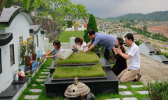 Tảo mộ cuối năm thế nào cho đúng?