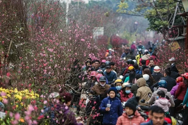 Miền Bắc sẽ rét đậm đến khi nào?