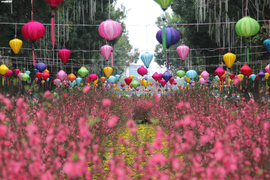 Đường phố rực rỡ cờ hoa, dân Thủ đô rộn ràng đi sắm Tết