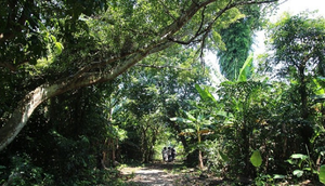 Quảng Trị làm gì để đánh thức 'Hòn ngọc xanh' trên Biển Đông?