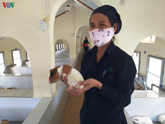 Trại chăn nuôi hàng vạn con chuột, thực hiện sứ mệnh chữa bệnh cứu người