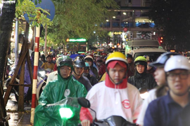 Phản ánh vi phạm trật tự giao thông dịp Tết theo số nào?