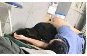 Xác minh thông tin 'bác sĩ ôm sinh viên ngủ trong bệnh viện'