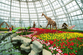 7 phong cách du xuân độc đáo chỉ có ở Vinpearl Nha Trang