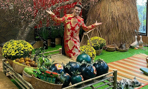 Đàm Vĩnh Hưng và loạt sao Việt trang trí nhà cửa đẹp mắt đón Tết Canh Tý