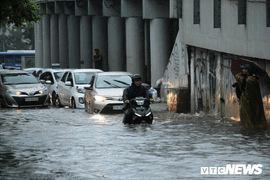 TP.HCM không để triều cường gây ngập úng dịp Tết Nguyên đán