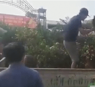 Hà Tĩnh: Người đàn ông nhảy lên ô tô công vụ chặt quất cảnh bị tịch thu 