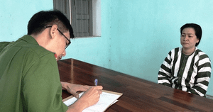 Bắt 'nữ quái' lừa đảo chiếm đoạt gần 135 tỷ đồng ở Bình Định