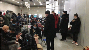 Gấp rút bào chế vaccine chống virus corona