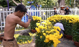 Tiểu thương đập phá cây cảnh trưa 30 Tết