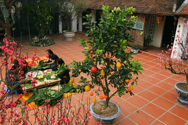 Video: Người lao động chạnh lòng đón Tết xa quê