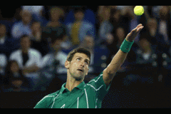 Djokovic thắng dễ, tái ngộ Federer ở bán kết Australian Open 