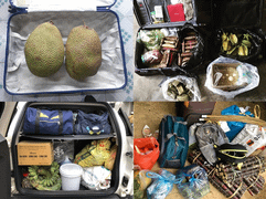 Dân mạng đua nhau khoe ảnh 'mang cả quê hương ra thành phố'