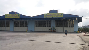 Không xuất được hàng sang Trung Quốc, chủ vựa trái cây miền Tây ngậm ngùi đóng cửa