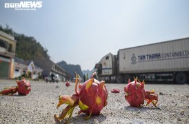 Thông quan cửa khẩu Hữu Nghị, 'giải cứu' nông sản tồn đọng từ Tết Canh Tý