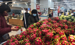 Siêu thị bắt đầu bán 'giải cứu' thanh long, dưa hấu bị ùn ứ do corona