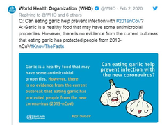 Không có bằng chứng dùng tỏi có thể ngăn coronavirus mới