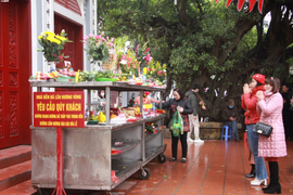 Phủ Tây Hồ đóng cửa phòng dịch corona, dân đứng ngoài bái vọng cầu an