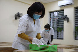 Bộ GD&ĐT: Khuyến khích giao bài tập cho học sinh khi nghỉ phòng dịch corona