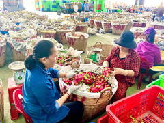 Dịch corona: Doanh nghiệp Việt chấp nhận thua lỗ để giải cứu nông sản