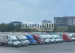Thông quan hơn 60 xe nông sản ở cửa khẩu quốc tế Lào Cai