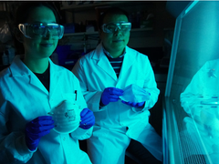 Kỹ sư Canada sáng tạo khẩu trang phủ muối có thể vô hiệu hóa virus như corona trong 5 phút