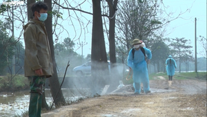 Lập chốt kiểm dịch, phun khử trùng khu vực dịch cúm A/H5N6 ở Hà Nội