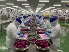 Bộ trưởng Nông nghiệp: 'Doanh nghiệp mua thanh long giá 12.000 đồng/kg là quá biết ơn'