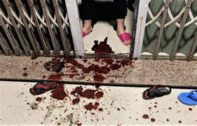 Hàng loạt vụ tạt sơn, ném chất bẩn vào nhà dân ở Đà Nẵng