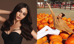 Phạm Hương, Mâu Thủy và loạt sao Việt bị chỉ trích vì hành động kém duyên nơi công cộng