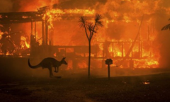 Cháy rừng Australia có thể chấm dứt vào cuối tuần