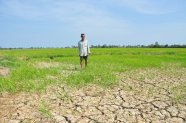 Hạn, mặn khốc liệt ở ĐBSCL: Ruộng nứt toác, kênh trơ đáy