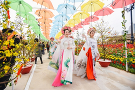 Những kỷ lục gây 'choáng' trong Lễ hội hoa Xuân lớn nhất Việt Nam