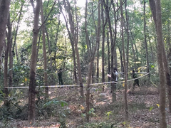 Phát hiện thi thể nam đang phân hủy trong rừng cao su ở Bình Dương