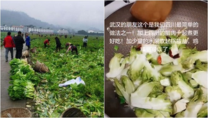 Nhận được rau 'lạ' cứu trợ, dân Vũ Hán loay hoay tìm cách nấu