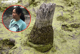 Bãi cọc vừa phát lộ có thể liên quan trận chiến của Ngô Quyền trên sông Bạch Đằng năm 938: Chuyên gia nói gì?