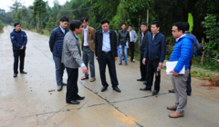 Đường chục tỷ đồng vào lăng vua chưa dùng đã hỏng và sự biến mất kỳ lạ của 2 cây thông cổ