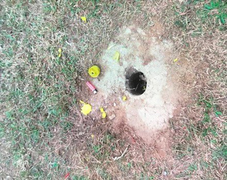 Vật lạ phát nổ, 2 thanh niên thương vong