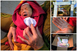 Bé trai 10 ngày tuổi nằm trong giỏ mây, bị bỏ rơi trước cổng tịnh xá