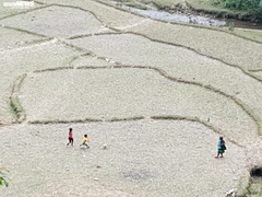 Tây Bắc tan hoang vì thuỷ điện, thanh niên kéo sang Trung Quốc làm thuê