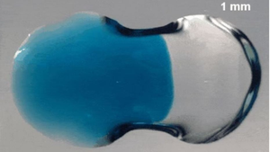 Ngoạn mục hình ảnh 2 giọt nước kết hợp trong 15 mili giây