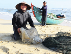 Trúng đậm sứa biển, ngư dân Quảng Nam bỏ túi bạc triệu mỗi ngày