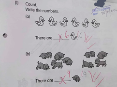 Tranh cãi bài toán đếm vịt và chó của học sinh lớp 1