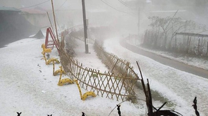 Mưa đá to như quả trứng gà tàn phá 200 ngôi nhà, khiến hàng chục ha hoa màu tan tác