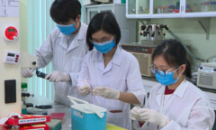 Viện Hàn lâm Việt Nam tạo thành công kit thử Covid-19