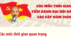 Infographic: Các mốc thời gian Đại hội Đảng các cấp năm 2020
