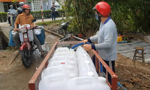 Video: Hạn mặn khốc liệt, nhà vườn Tiền Giang chắt chiu từng can nước cứu cây