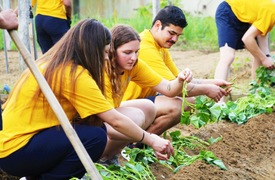 Thủy thủ tàu sân bay Mỹ cuốc đất trồng rau, hát ‘Để Mị nói cho mà nghe’