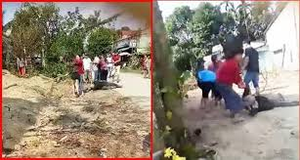 Cô gái đánh cụ ông trọng thương là họ hàng gần với nạn nhân